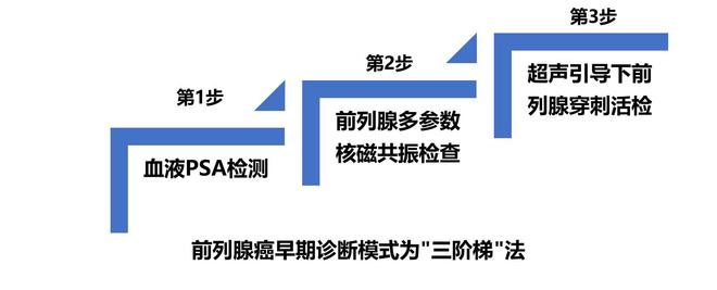 գǰٰ緢ֺǹؼ(ͼ1)