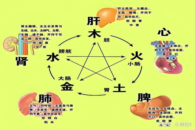 ҽɭΪθøСЧ(ͼ2)
